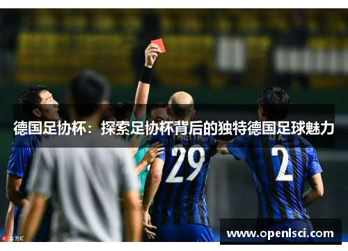 德国足协杯：探索足协杯背后的独特德国足球魅力