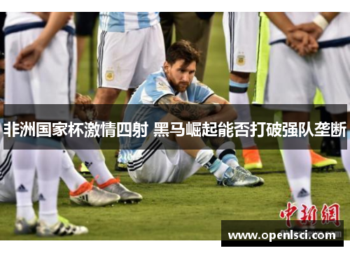 非洲国家杯激情四射 黑马崛起能否打破强队垄断