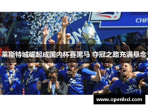 莱斯特城崛起成国内杯赛黑马 夺冠之路充满悬念