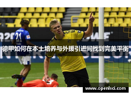 德甲如何在本土培养与外援引进间找到完美平衡