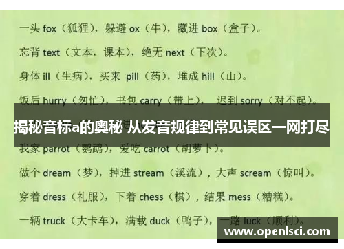 揭秘音标a的奥秘 从发音规律到常见误区一网打尽